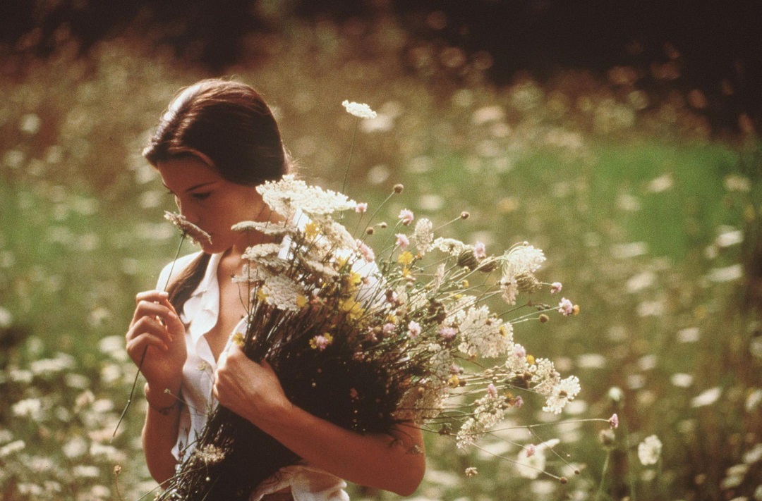 偷香 贝纳尔多·贝托鲁奇 寻父之旅_偷香电影迅雷下载