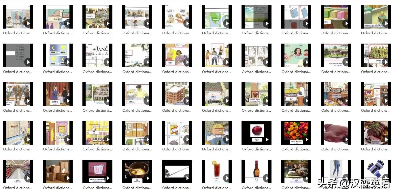 牛津图解词典Oxford Picture Dictionary英汉双语版_英汉词典下载手机版离线版本_英语启蒙词典推荐