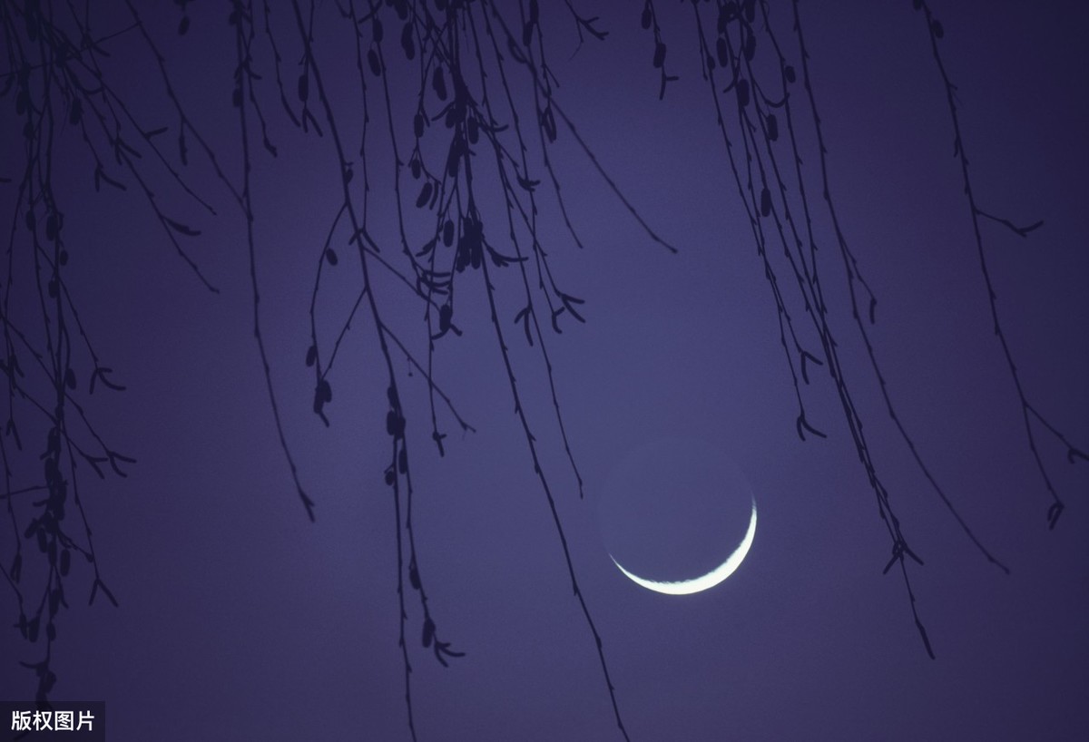 春风沉醉的夜晚下载_春风沉醉的晚上 艺术美 人性美