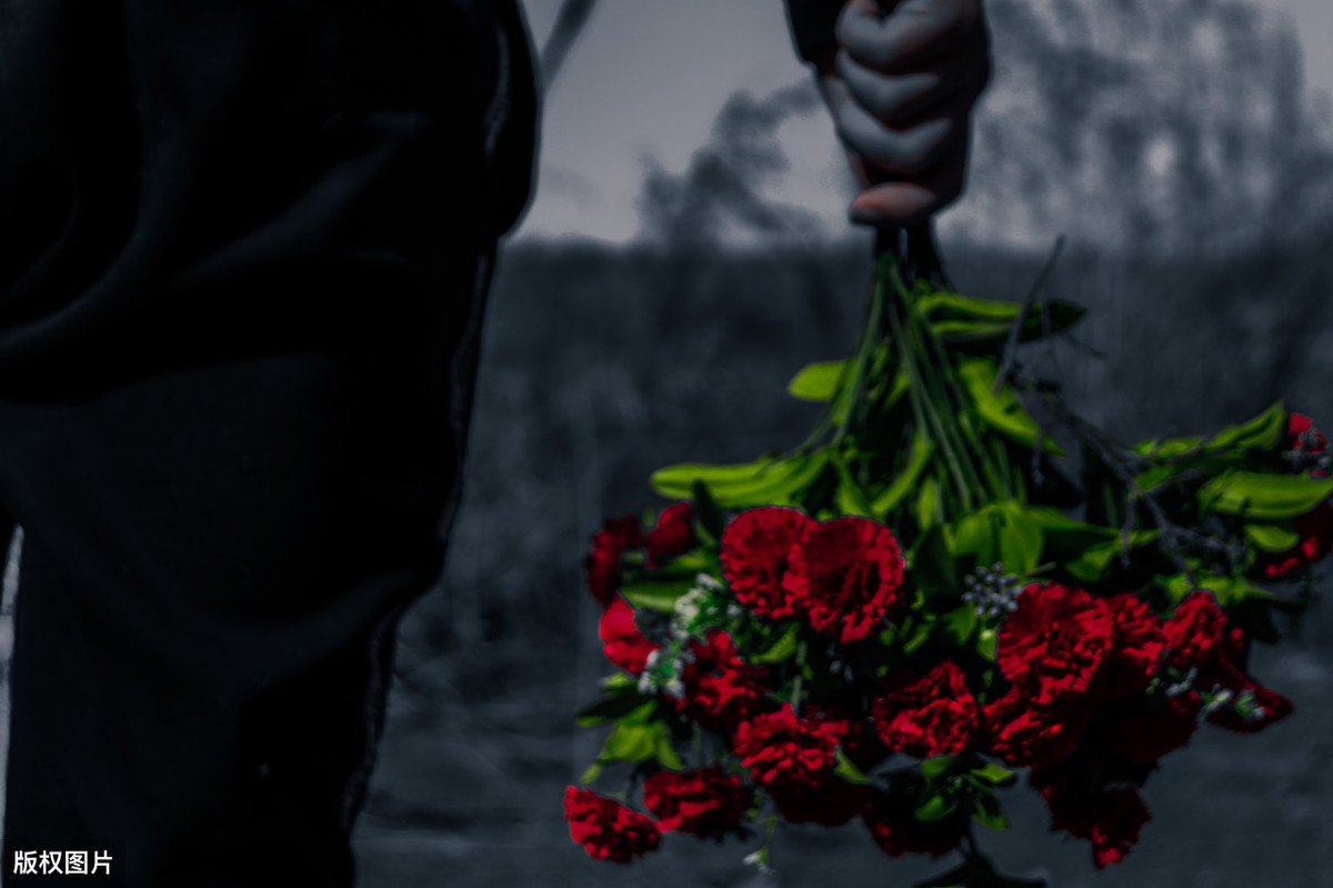 春风沉醉的夜晚下载_春风沉醉的晚上 艺术美 人性美